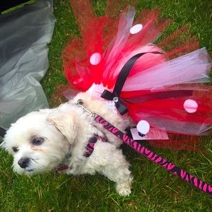 Minnie Mouse Inspired Doggy Tutu